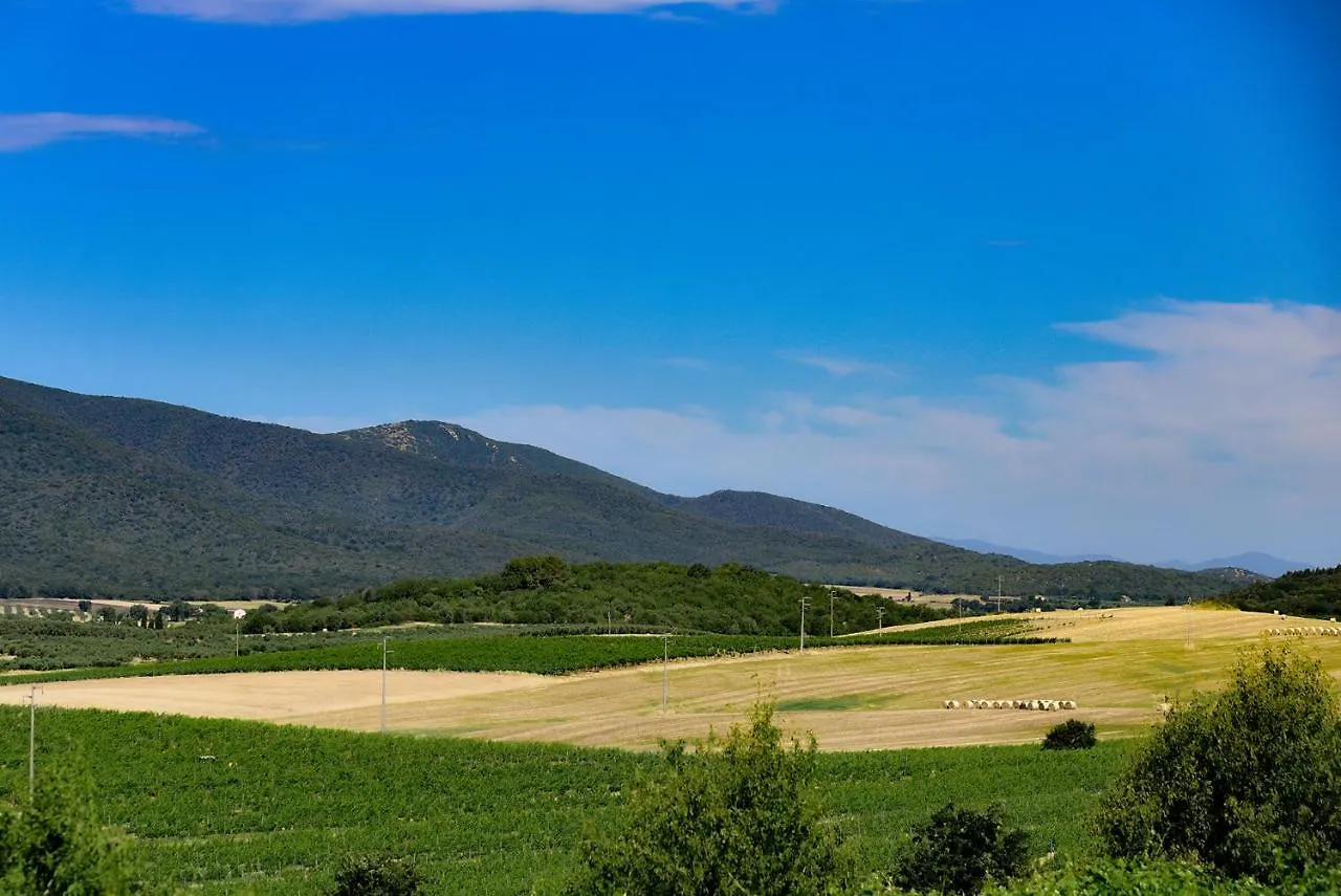 Agriturismo Brancalino マリアーノ・イン・トスカーナ